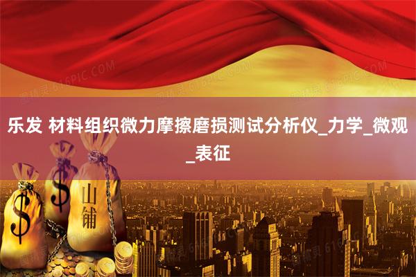 乐发 材料组织微力摩擦磨损测试分析仪_力学_微观_表征
