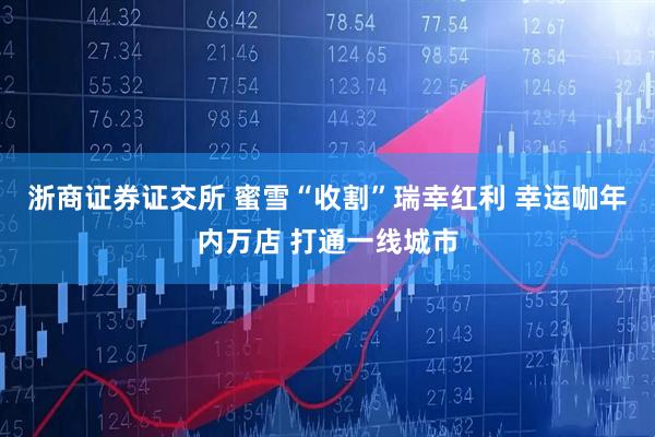 浙商证券证交所 蜜雪“收割”瑞幸红利 幸运咖年内万店 打通一线城市