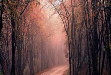 买股票软件都有哪些:散户在哪个证券开户最好-午后直线拉升 重磅利好突传 这一板块现涨停潮！